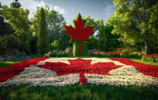 دراو دسامبر 2024 برنامه استانی مانیتوبا